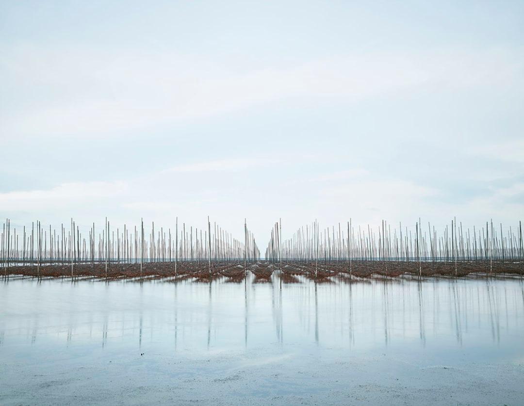 David Burdeny (geb. 1968. Winnipeg, Kanada) schloss sein Studium der Architektur und Innenarchitektur mit einem Master ab und war zu Beginn seiner Karriere in diesem Bereich tätig, bevor er sich als Fotograf etablierte. Burdeny setzt seine intime