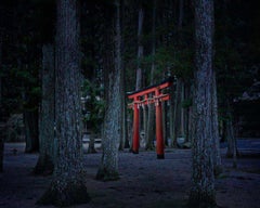 David Burdeny – Torii Gate, Koyasan, Japan, Fotografie 2012, nach dem Druck