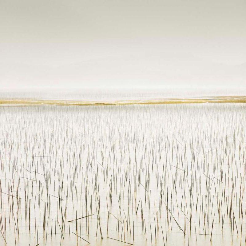 David Burdeny (geb. 1968. Winnipeg, Kanada) schloss sein Studium der Architektur und Innenarchitektur mit einem Master ab und war zu Beginn seiner Karriere in diesem Bereich tätig, bevor er sich als Fotograf etablierte. Burdeny setzt seine intime