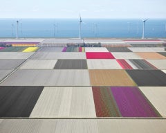 David Burdeny - Tulips and Turbines 01, Noordoostpolder, 2016, Imprimé d'après