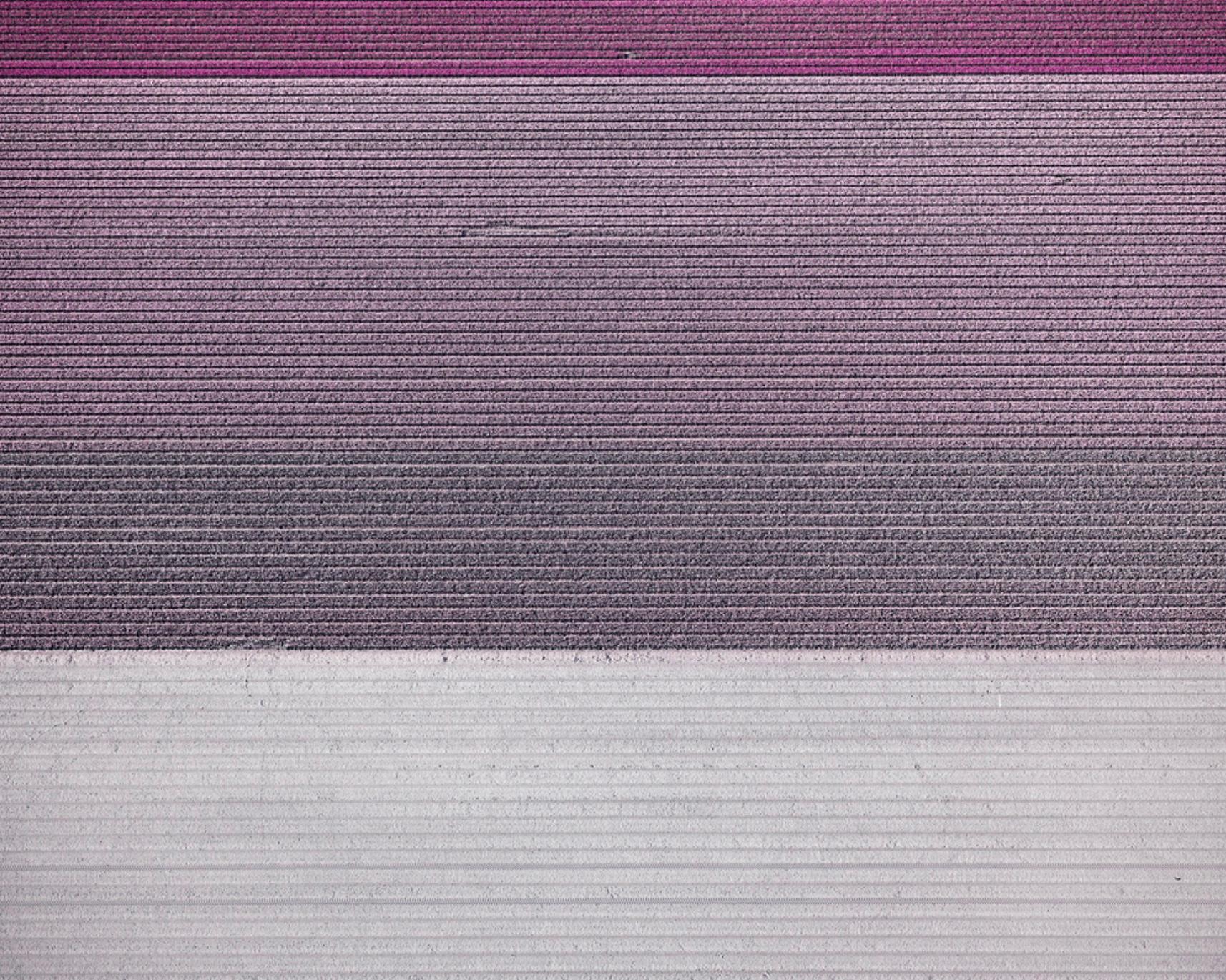 David Burdeny (b. 1968. Winnipeg, Canada) graduated with a Masters in Architecture and Interior Design and spent the early part of his career practicing in his field before establishing himself as a photographer. 
Burdeny translates his intimate