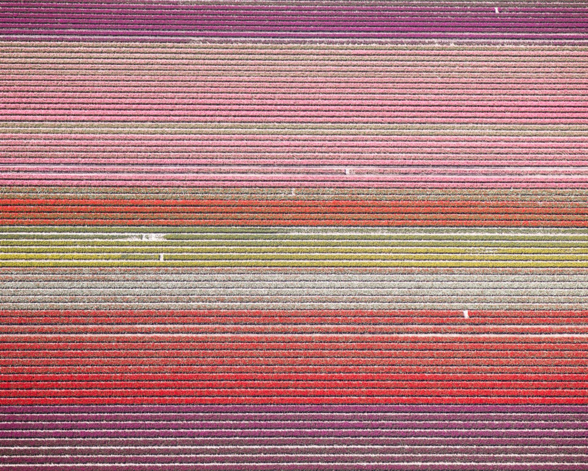 David Burdeny (n. 1968. Winnipeg, Canadá) se graduó con un máster en Arquitectura y Diseño de Interiores y pasó la primera parte de su carrera ejerciendo en su campo antes de establecerse como fotógrafo. 
Burdeny traduce su íntima apreciación de la
