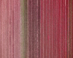 David Burdeny - Veld 12, Noordoostpolder, Flevoland, 2016, Impreso después de