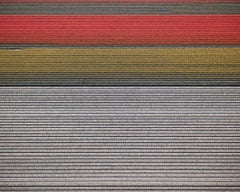 David Burdeny - Veld 14, Noordoostpolder, Flevoland, 2016, Printed After