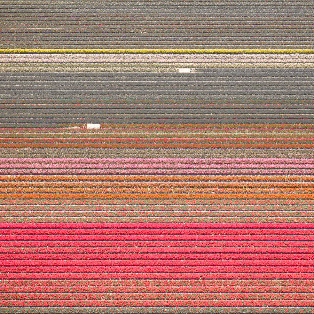 David Burdeny (n. 1968. Winnipeg, Canadá) se graduó con un máster en Arquitectura y Diseño de Interiores y pasó la primera parte de su carrera ejerciendo en su campo antes de establecerse como fotógrafo. 
Burdeny traduce su íntima apreciación de la