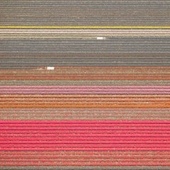 David Burdeny - Veld 15, Noordoostpolder, Flevoland, 2016, Imprimé d'après