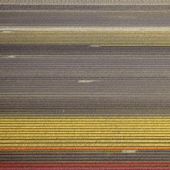 David Burdeny - Veld 17, Noordoostpolder, Flevoland, 2016, Impreso después de