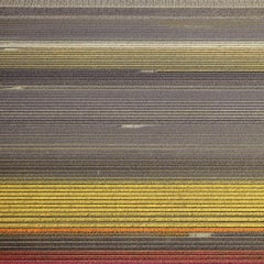 David Burdeny - Veld 17, Noordoostpolder, Flevoland, 2016, Printed After