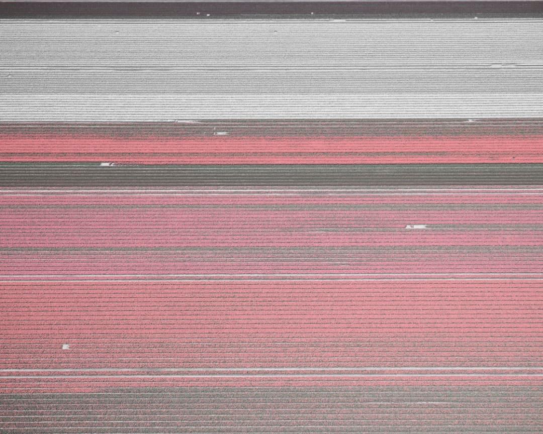 David Burdeny (b. 1968. Winnipeg, Canada) graduated with a Masters in Architecture and Interior Design and spent the early part of his career practicing in his field before establishing himself as a photographer. 
Burdeny translates his intimate