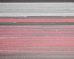 David Burdeny - Veld 18, Noordoostpolder, Flevoland, 2016, Printed After