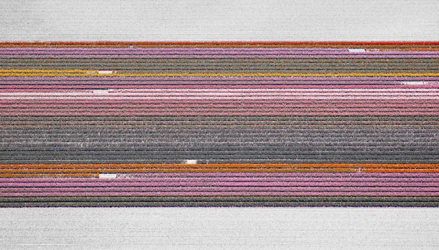 David Burdeny (n. 1968. Winnipeg, Canadá) se graduó con un máster en Arquitectura y Diseño de Interiores y pasó la primera parte de su carrera ejerciendo en su campo antes de establecerse como fotógrafo. 
Burdeny traduce su íntima apreciación de la
