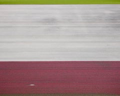 David Burdeny - (Veld 2) Tulips 05, Noordoostpolder, 2016, Imprimé d'après