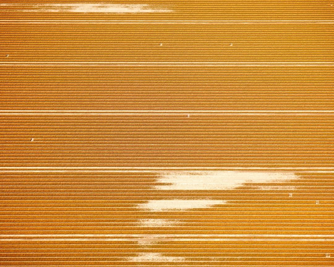 Title: Veld 20, Noordoostpolder, Flevoland, The Netherlands

David Burdeny (b. 1968. Winnipeg, Canada) graduated with a Masters in Architecture and Interior Design and spent the early part of his career practicing in his field before establishing