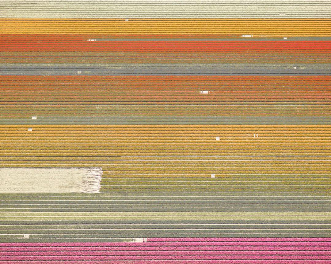 Titolo: Veld 21, Noordoostpolder, Flevoland, Paesi Bassi

David Burdeny (nato nel 1968. Winnipeg, Canada) si è laureato con un master in Architettura e Interior Design e ha trascorso la prima parte della sua carriera esercitando la professione prima