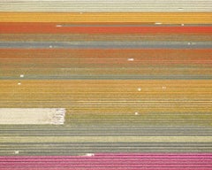 David Burdeny - Veld 21, Noordoostpolder, The Netherlands, 2016, Printed After