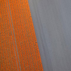 David Burdeny - Veld 22, Noordoostpolder, Flevoland, 2016, Printed After