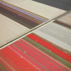 David Burdeny - Veld 23, Noordoostpolder, Flevoland, 2016, Printed After