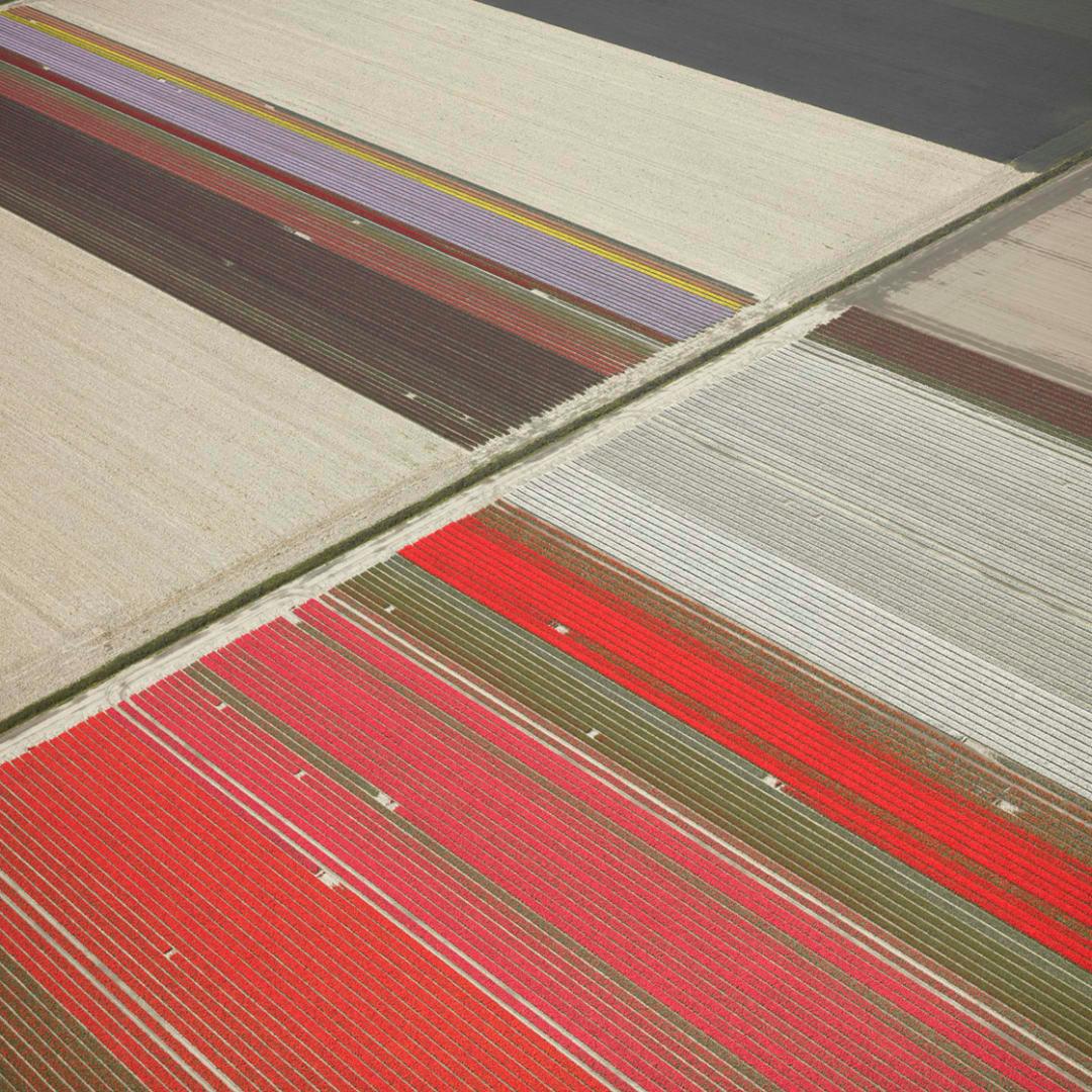 David Burdeny - Veld 23, Noordoostpolder, Flevoland, 2016, Impreso después de