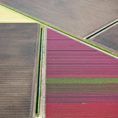 David Burdeny - Veld 24, Noordoostpolder, Flevoland, 2016, Printed After