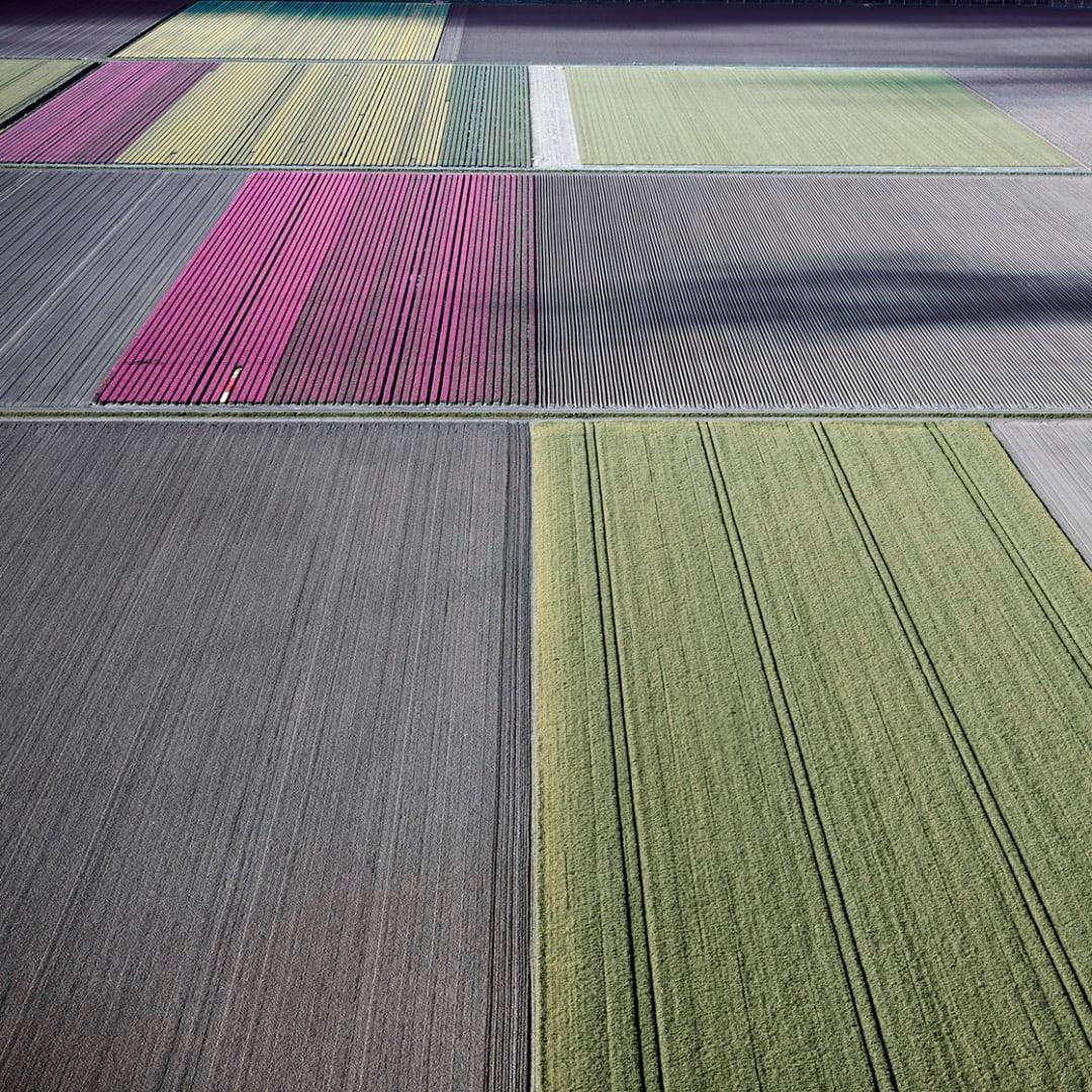 Title: Veld 25, Noordoostpolder, Flevoland, The Netherlands

David Burdeny (b. 1968. Winnipeg, Canada) graduated with a Masters in Architecture and Interior Design and spent the early part of his career practicing in his field before establishing