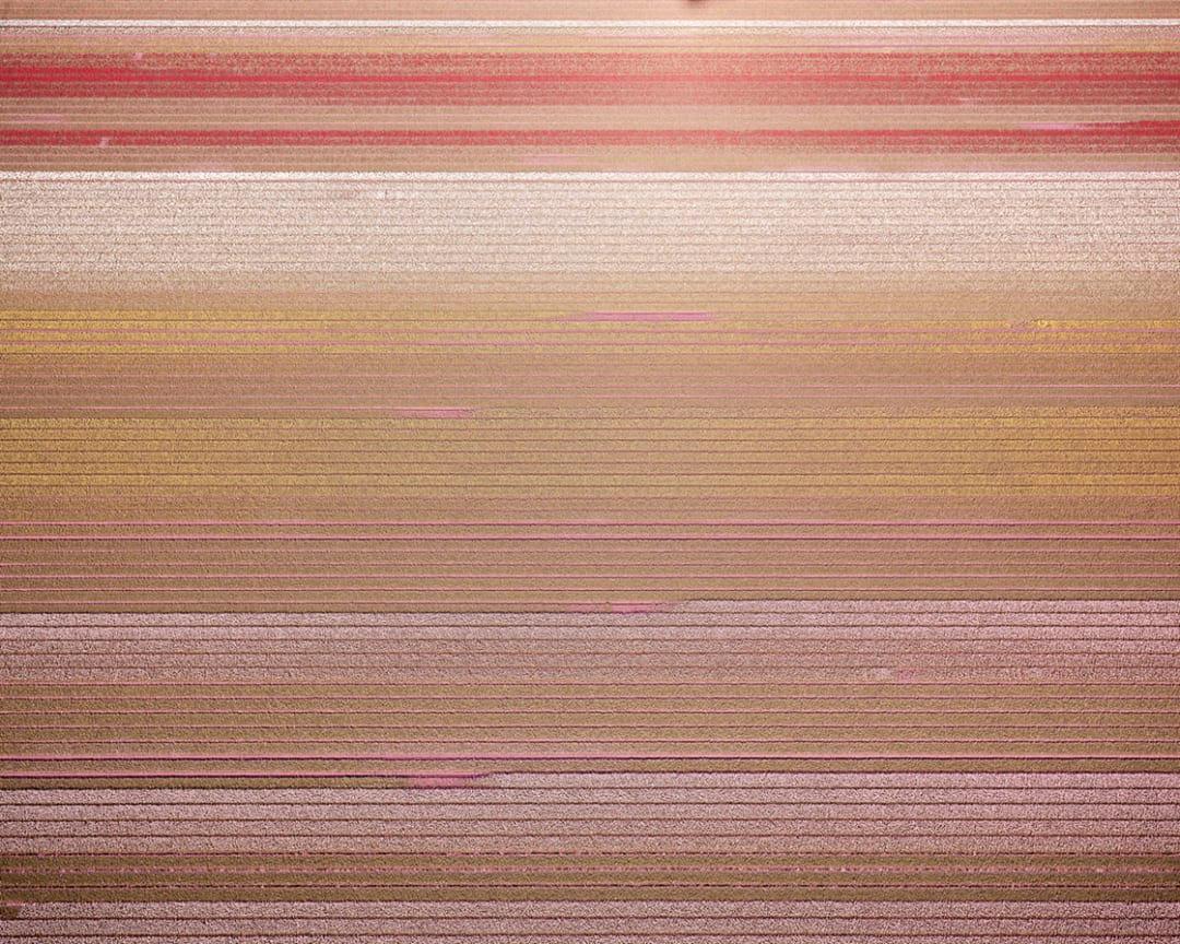 David Burdeny (n. 1968. Winnipeg, Canadá) se graduó con un máster en Arquitectura y Diseño de Interiores y pasó la primera parte de su carrera ejerciendo en su campo antes de establecerse como fotógrafo. 
Burdeny traduce su íntima apreciación de la