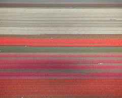 David Burdeny - Veld 9, Noordoostpolder, Flevoland, 2016, Imprimé d'après