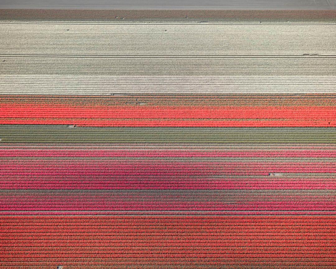 David Burdeny (b. 1968. Winnipeg, Canada) graduated with a Masters in Architecture and Interior Design and spent the early part of his career practicing in his field before establishing himself as a photographer. 
Burdeny translates his intimate