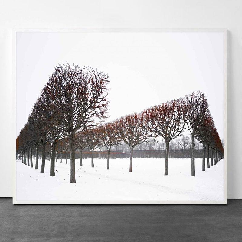 Rouge d'hiver, Pushkin, Russie par David Burdeny en vente 1