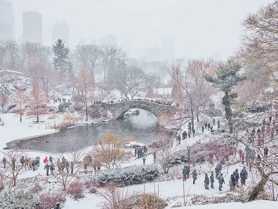 David Burdeny Color Photograph - December Snow, Central Park, New York, USA