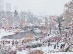 La neige de décembre, Central Park, New York, États-Unis