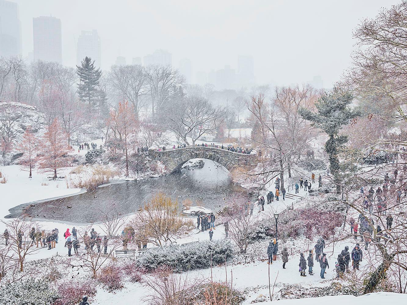 David Burdeny Color Photograph - December Snow, Central Park, New York, NY