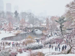 December Snow, Central Park, New York, NY