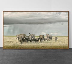 Day Care für Elefanten, Amboseli, Kenya, Afrika