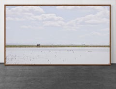 Elefante en el horizonte, Amboseli, Kenia, África