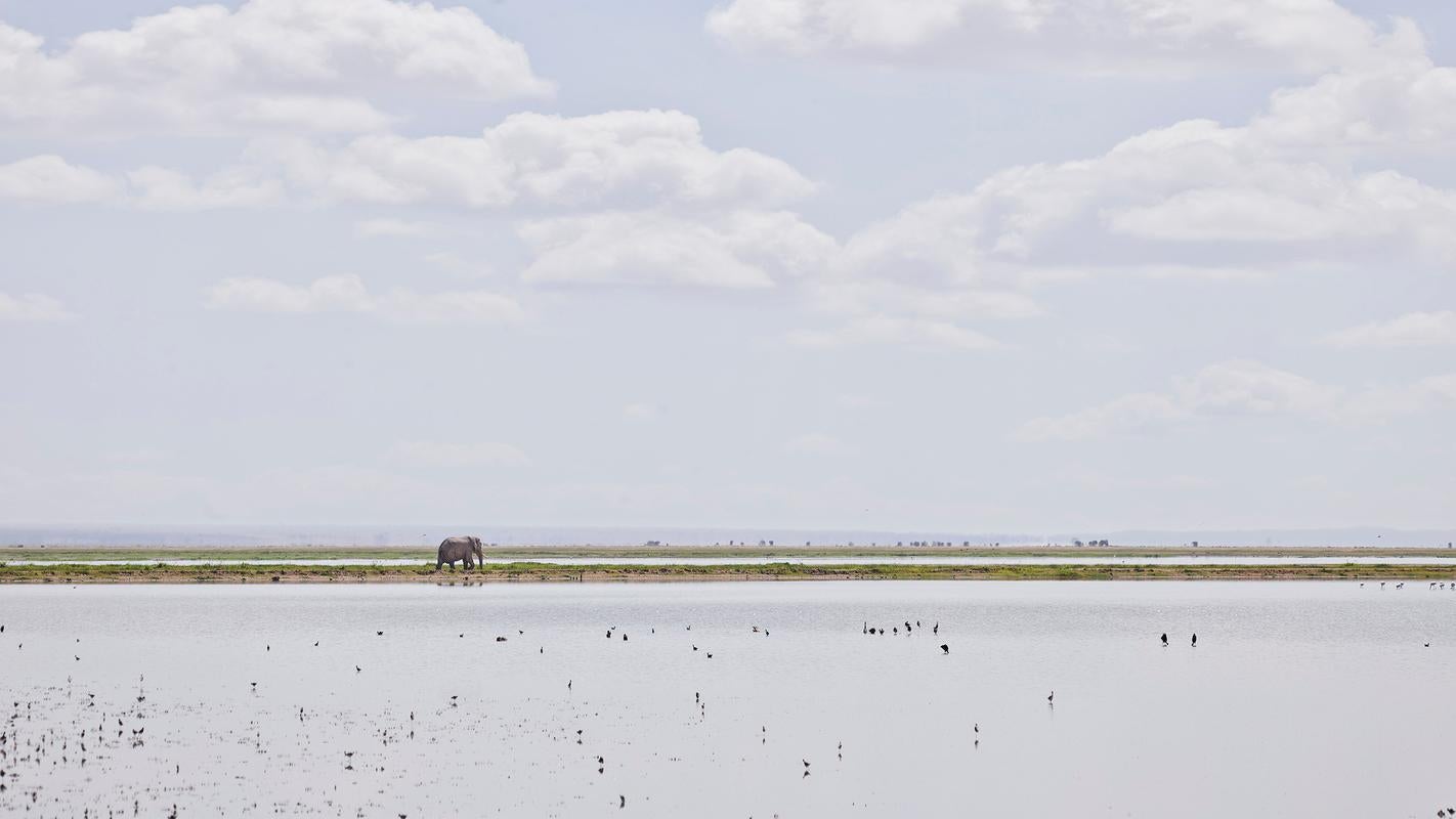 David Burdeny Landscape Photograph - Elephant on the Horizon, Amboseli, Kenya, Africa