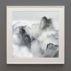 Ephemera, Huangshan, China