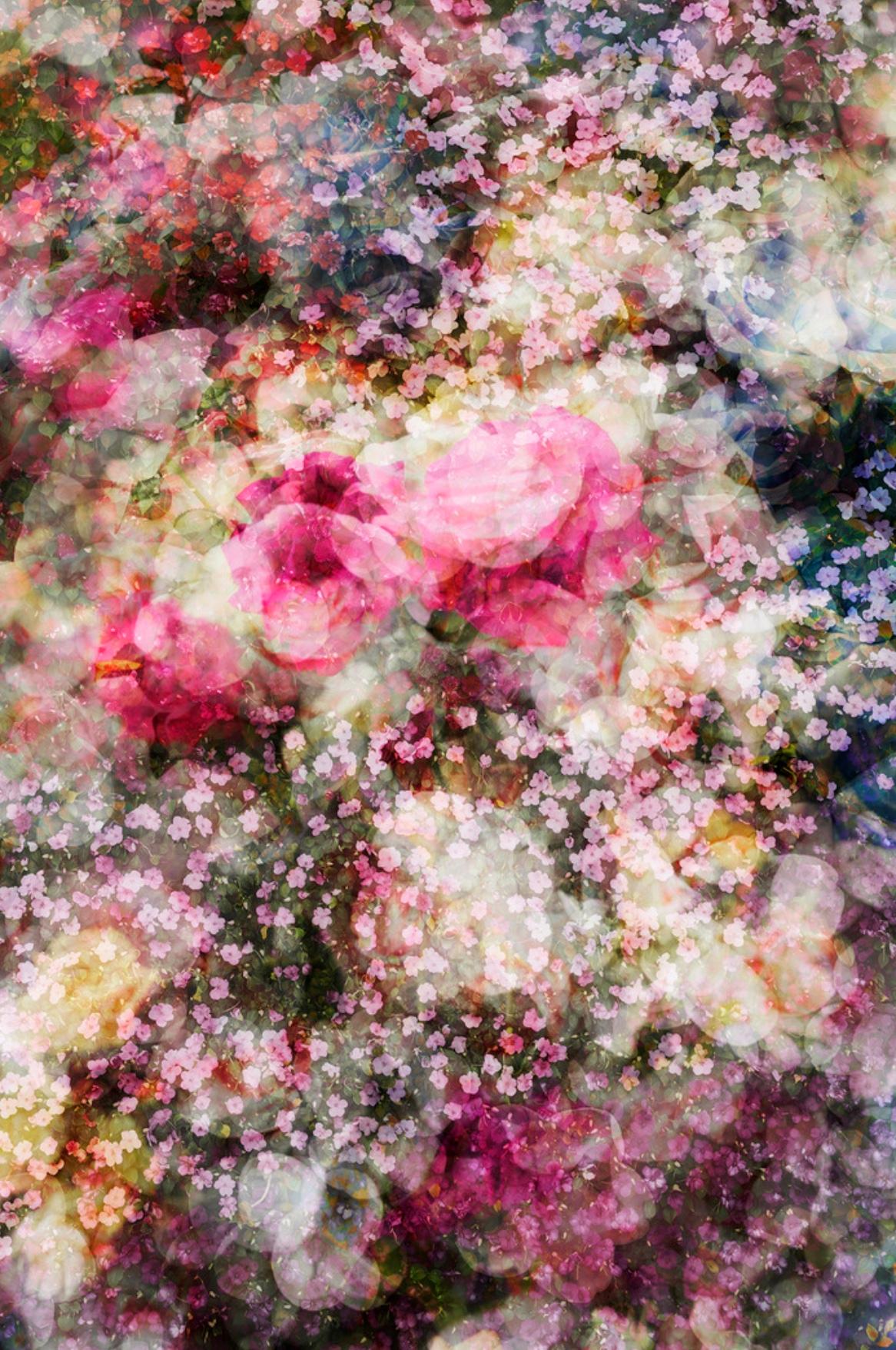 Lisa Creagh E8.1 (Contemporary British Photography, Flora, Flowers
