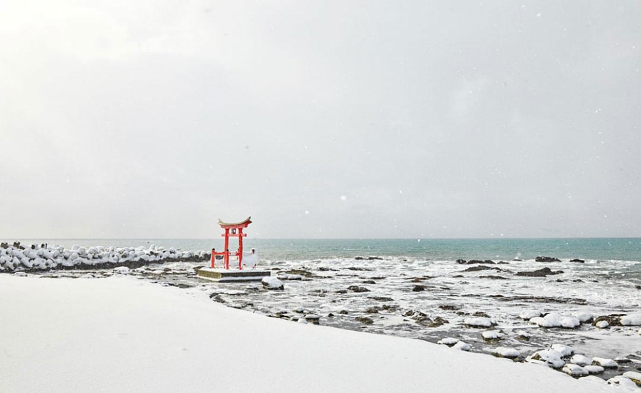 Light Snow, Shosanbetsu, Hokkaido, Japan - Photograph by David Burdeny