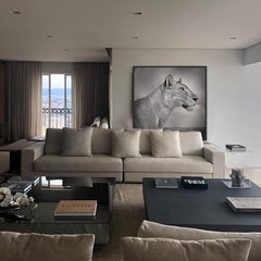 David Burdeny - Lioness in Profile, Serengeti, Tanzania (Photograph)