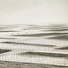 Mesh, South China Sea, Traverse, 2011