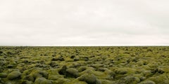 Moss Covered Lava Field, Iceland (23" x 46")