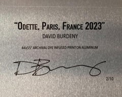 "Odette, Paris, France" Contemporary Architectural Framed Photograph on Aluminum