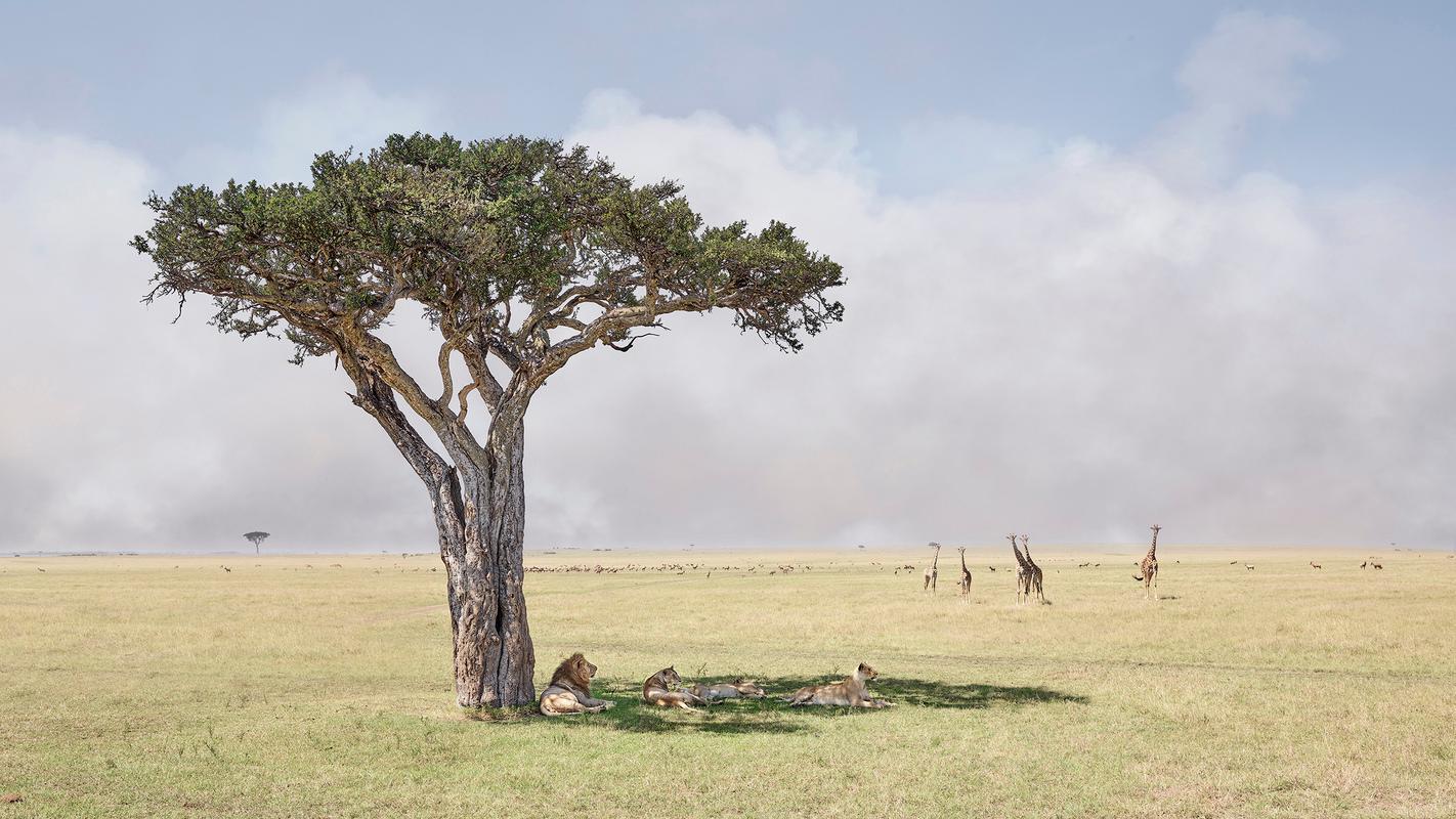 David Burdeny Color Photograph - Paradise, Maasai Mara, Kenya