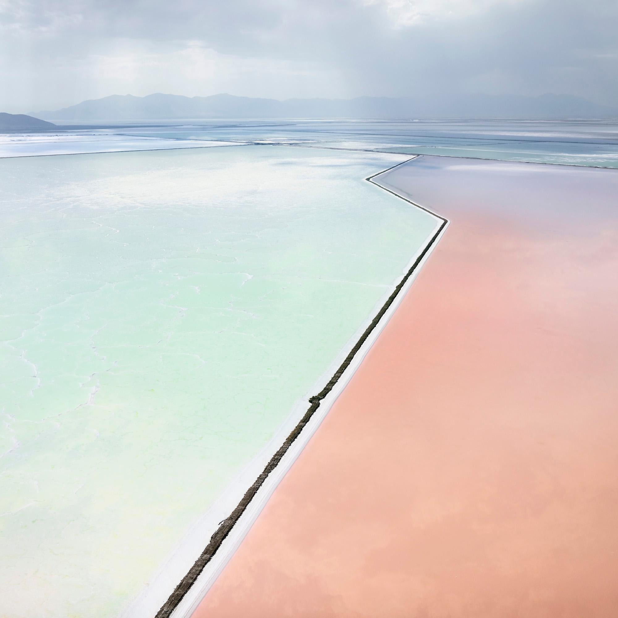 David Burdeny Landscape Photograph - Photosynthetic 1, Great Salt Lake, UT (21” x 21”)