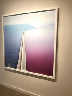 Photosynthetic 2, Great Salt Lake, UT- Framed 59 x 59 inch color photograph