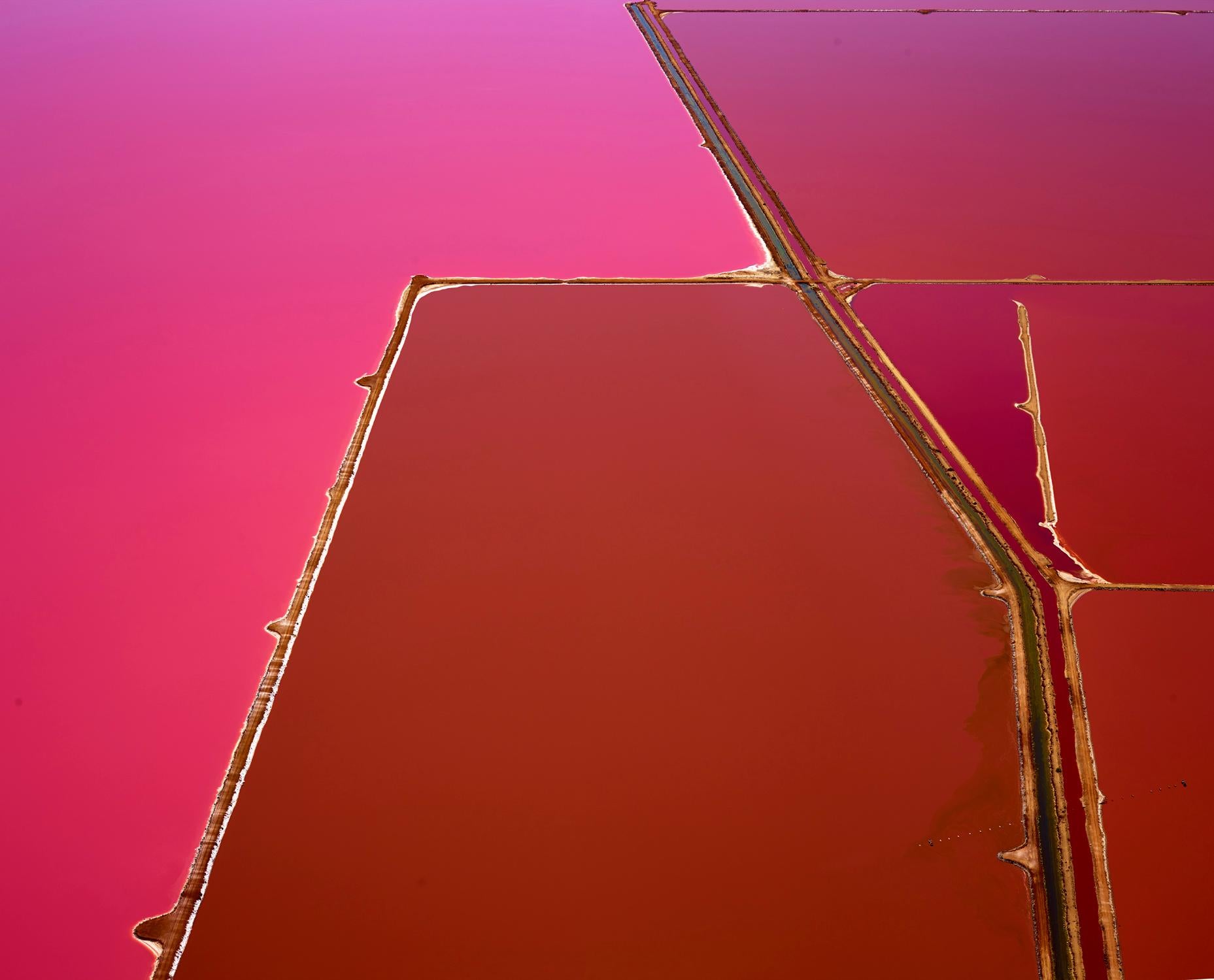 David Burdeny Color Photograph - Pink Pools, Hut Lagoon, Western Australia
