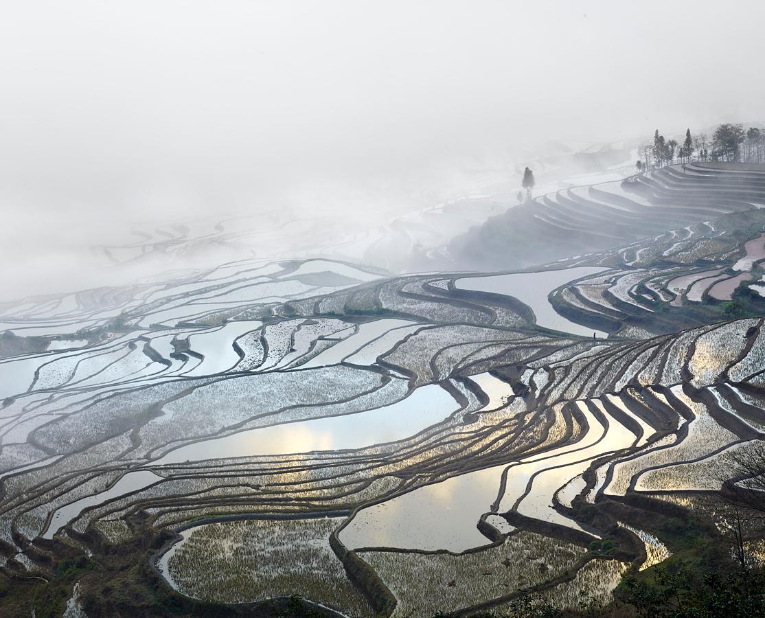 David Burdeny Landscape Print - Rice Terraces, (Duoyishu), Yunnan, China