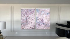 Sakura y cielo, Kioto, Japón (Díptico)