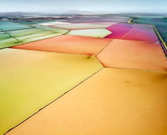 Saltern Study 12, Great Salt Lake, Utah, USA
