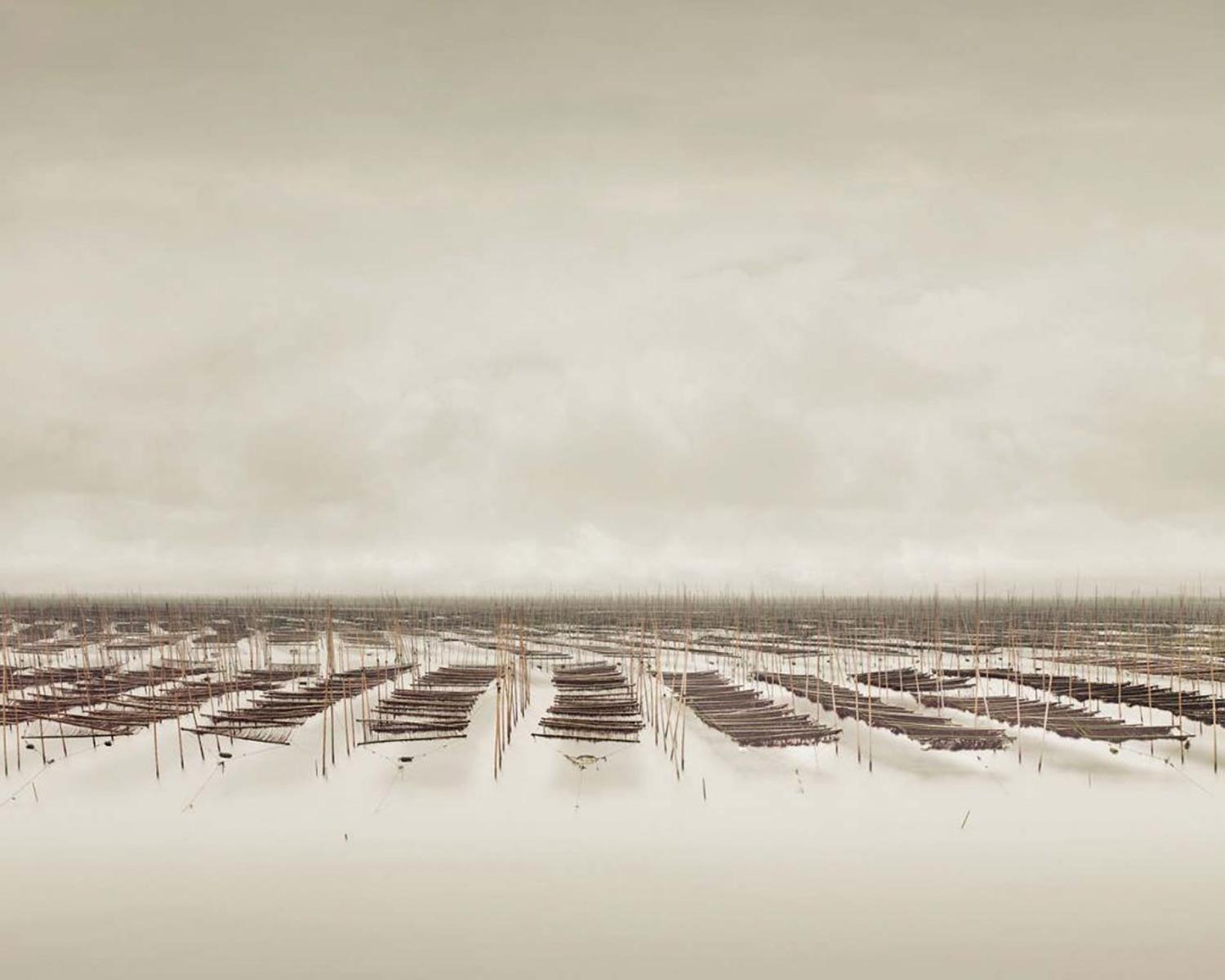 Seaweed Farm South China Sea, Archival Pigment Print, Framed, 2011